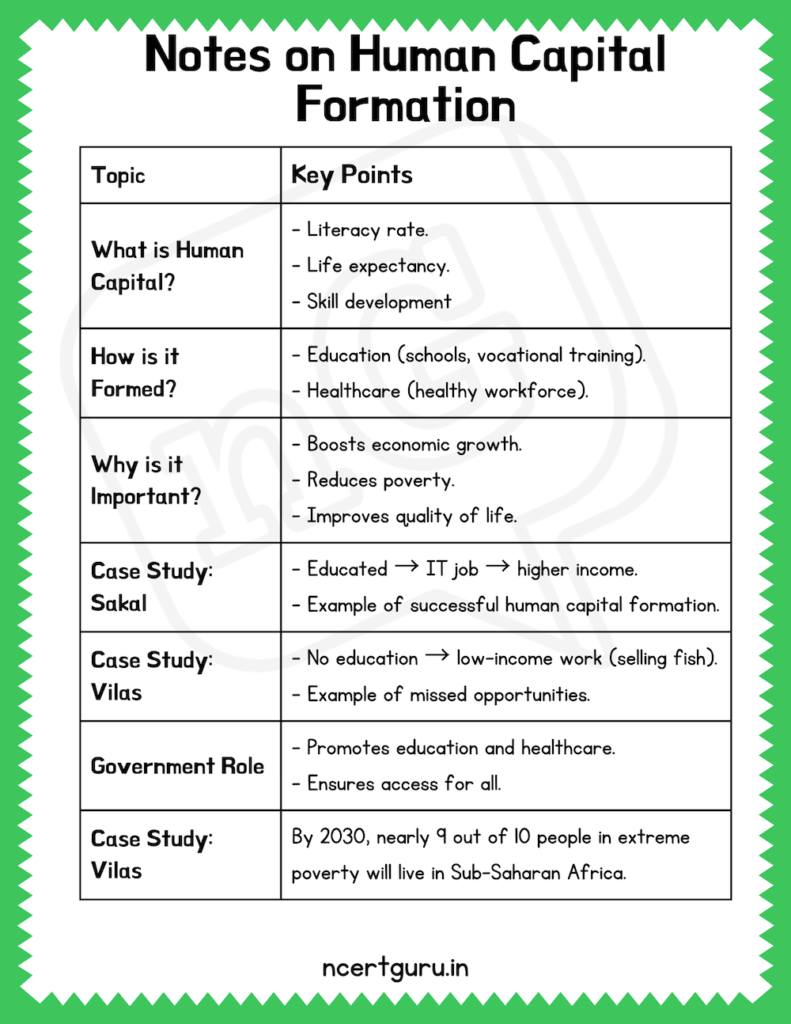 Human Capital Formation Summary