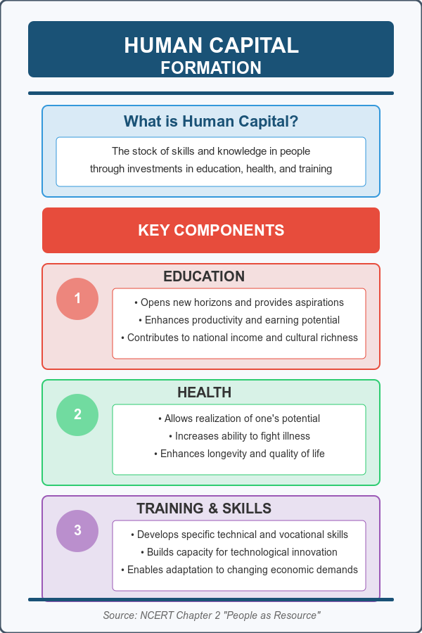 Key components of Human Capital Formation