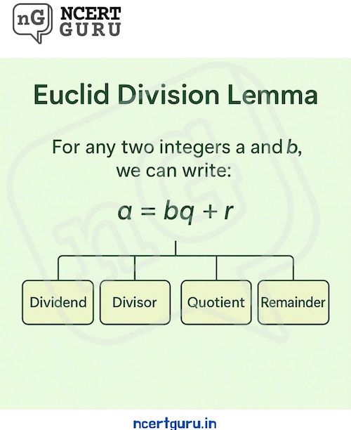 Euclid Division Lemma